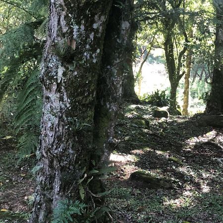 Refugio Da Natureza São Francisco de Paula Eksteriør bilde