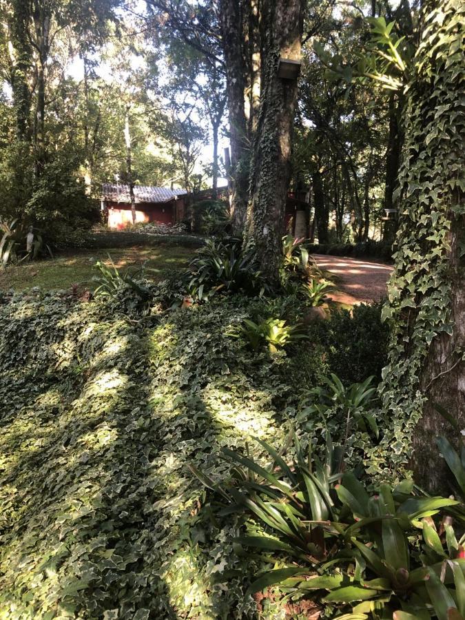 Refugio Da Natureza São Francisco de Paula Eksteriør bilde