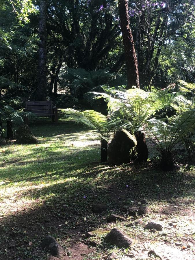Refugio Da Natureza São Francisco de Paula Eksteriør bilde