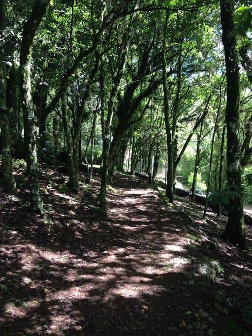 Refugio Da Natureza São Francisco de Paula Eksteriør bilde
