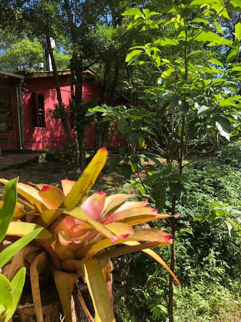 Refugio Da Natureza São Francisco de Paula Eksteriør bilde