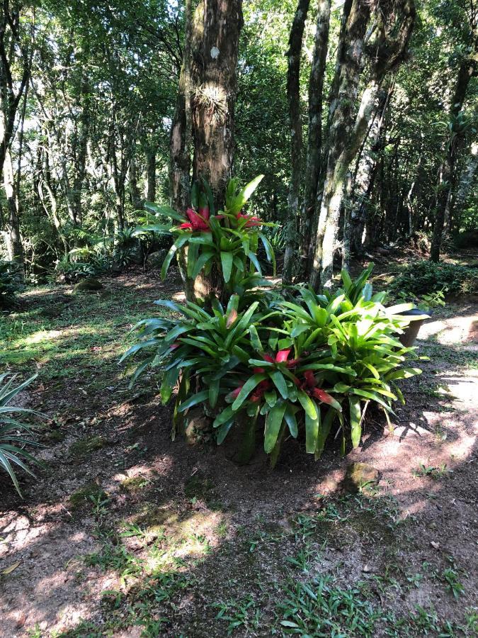 Refugio Da Natureza São Francisco de Paula Eksteriør bilde