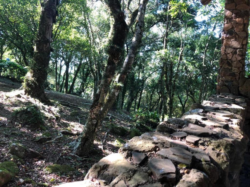 Refugio Da Natureza São Francisco de Paula Eksteriør bilde
